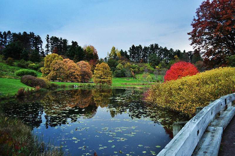 Jardim-Botânico-da-Universidade-Cornell