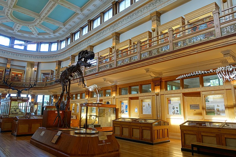 Museu-Redpath