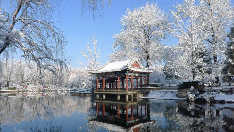 Universidade-Tsinghua-Jardim
