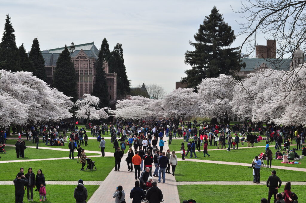 universidade-de-Washington-quadington-quad